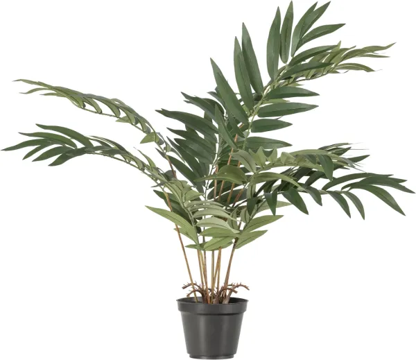 Kwai, konstgjord växt, grön, H68x50x51 cm